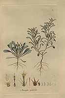  no thumbnail available