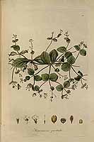  no thumbnail available