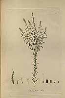  no thumbnail available