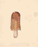  no thumbnail available