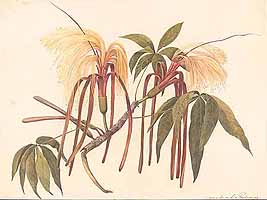  no thumbnail available