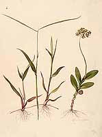  no thumbnail available