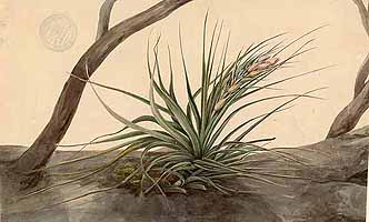  no thumbnail available