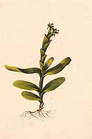  no thumbnail available