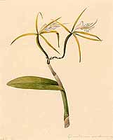  no thumbnail available