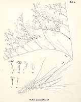  no thumbnail available