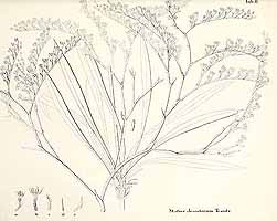  no thumbnail available