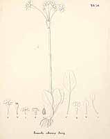  no thumbnail available