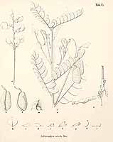  no thumbnail available