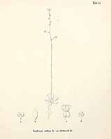  no thumbnail available