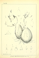  no thumbnail available