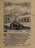  no thumbnail available