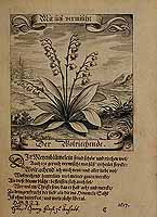  no thumbnail available