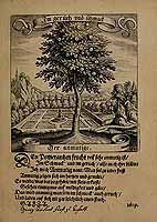  no thumbnail available