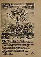  no thumbnail available