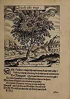  no thumbnail available