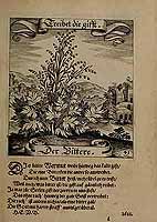  no thumbnail available