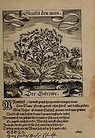  no thumbnail available