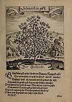  no thumbnail available