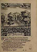  no thumbnail available