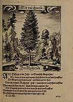  no thumbnail available