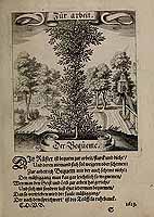  no thumbnail available