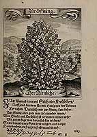  no thumbnail available