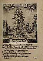  no thumbnail available