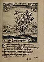  no thumbnail available