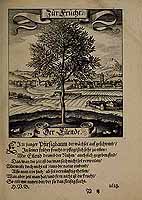  no thumbnail available