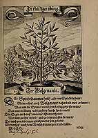  no thumbnail available