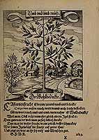  no thumbnail available