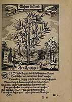  no thumbnail available