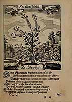  no thumbnail available