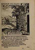  no thumbnail available