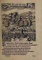  no thumbnail available