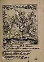  no thumbnail available