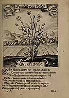  no thumbnail available