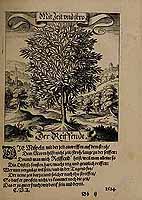  no thumbnail available