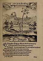  no thumbnail available