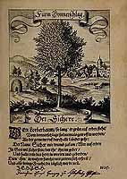  no thumbnail available