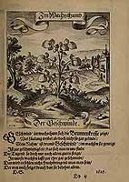  no thumbnail available