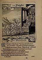  no thumbnail available