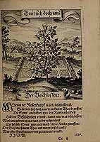  no thumbnail available