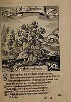  no thumbnail available