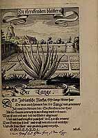  no thumbnail available