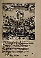  no thumbnail available