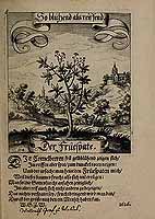  no thumbnail available