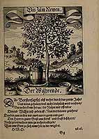  no thumbnail available