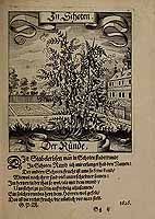  no thumbnail available